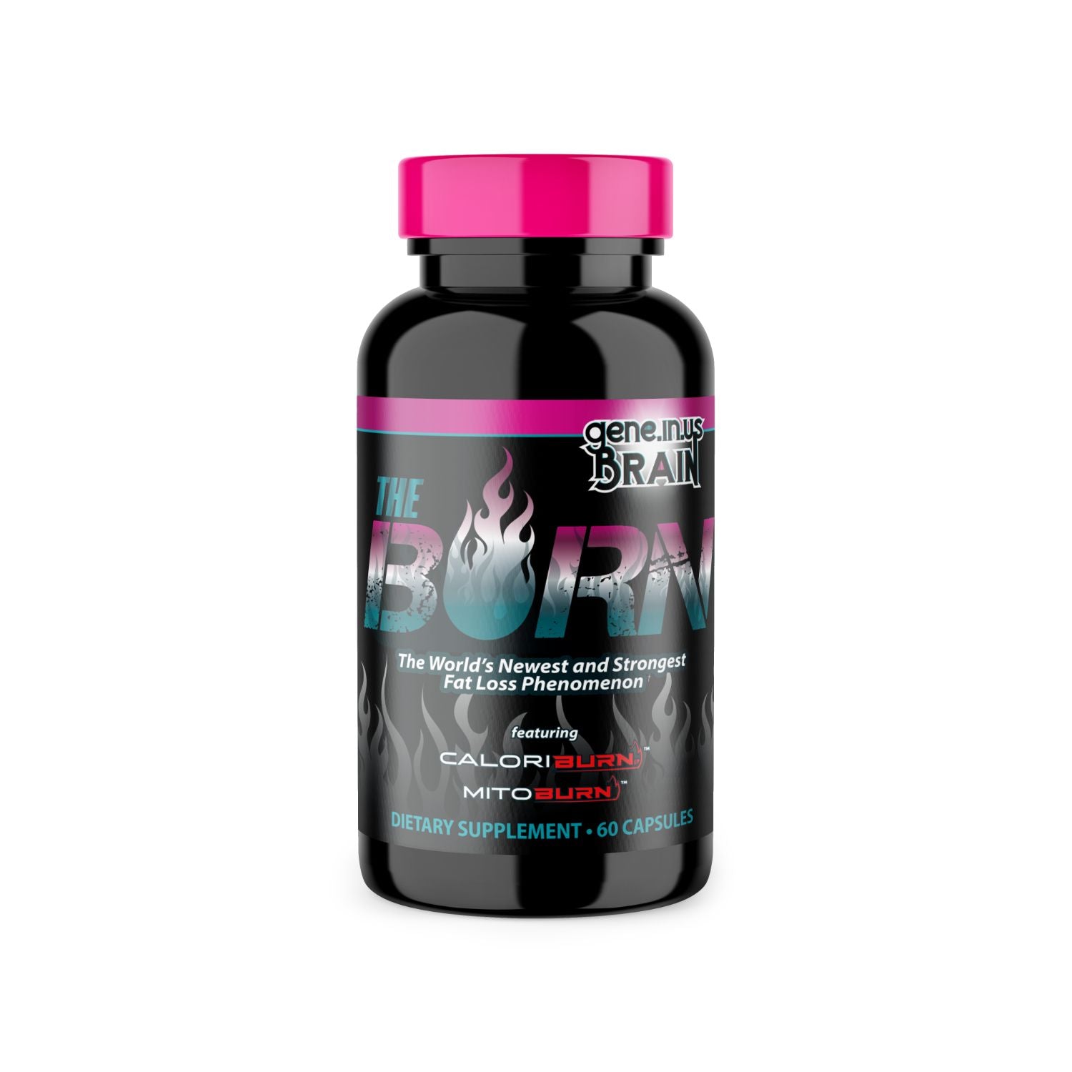 Fat Burning Gene.In.Us Brain