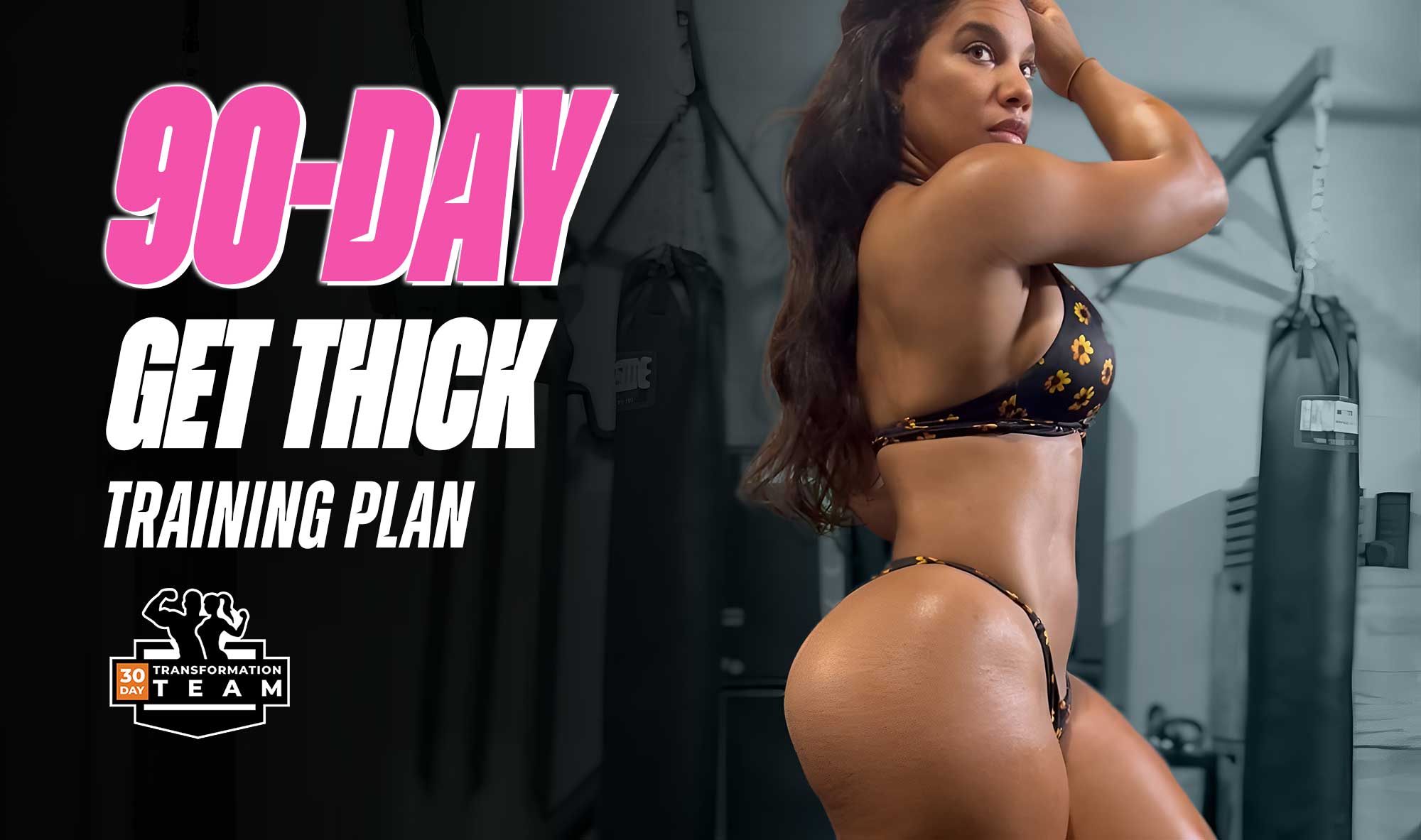 GUI---Transformation-program-Get-Thick-90.jpg
